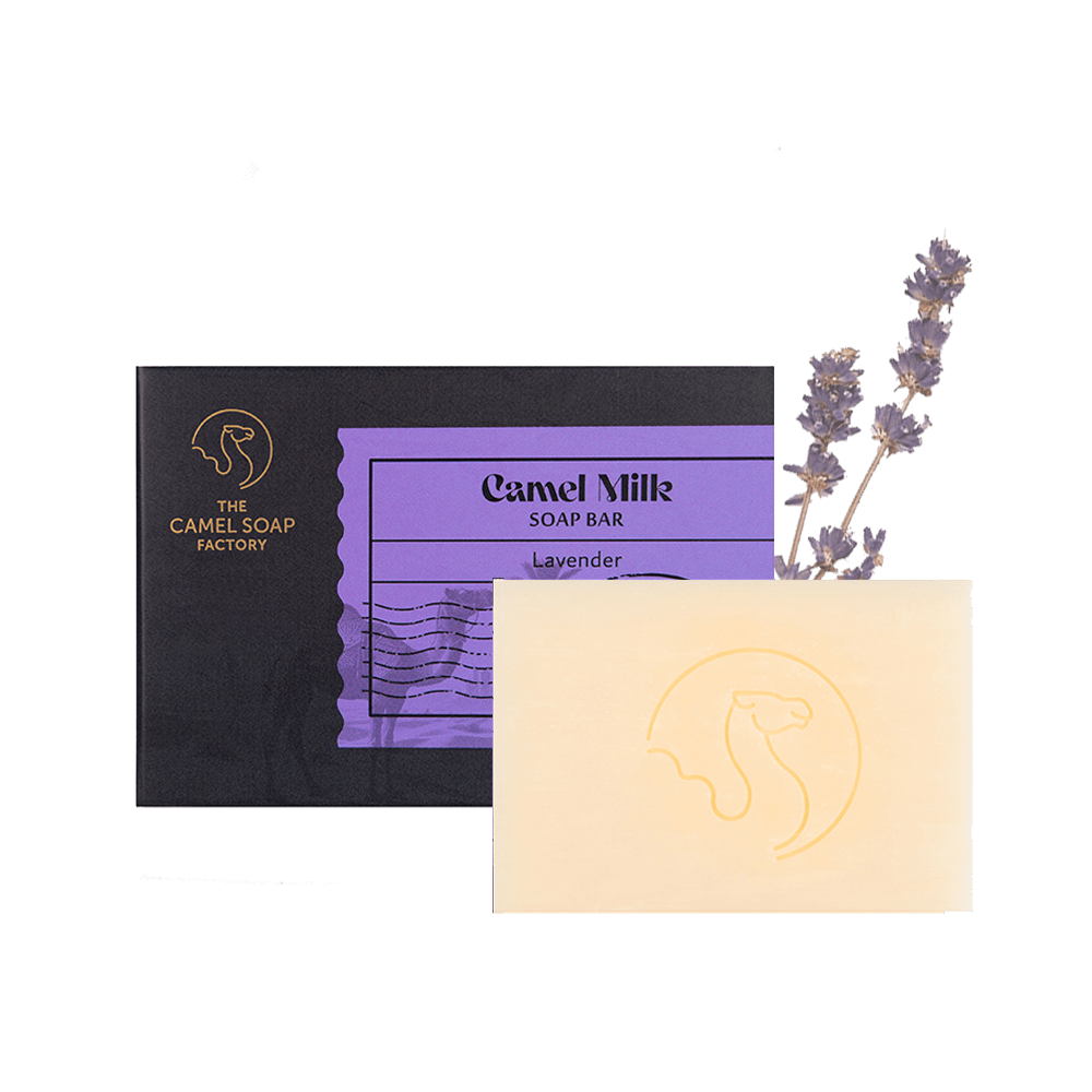 Camel Milk Everyday Soap (Triple Milled) - Lavender