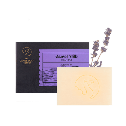 Camel Milk Everyday Soap (Triple Milled) - Lavender