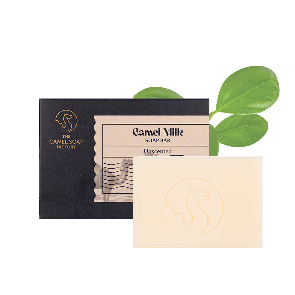 Camel Milk Everyday Soap (Triple Milled) - Unscented